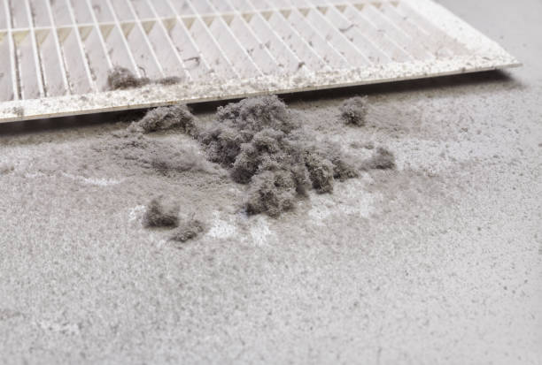 Best Professional Duct Cleaning Services  in Colorado City, AZ