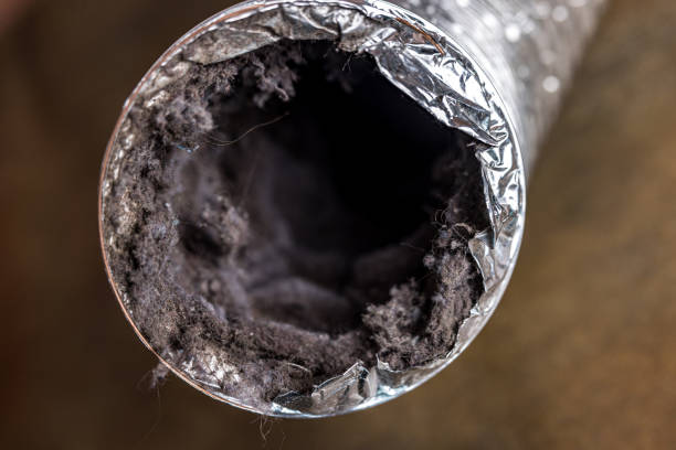 Best Home Air Vent Cleaning  in Colorado City, AZ