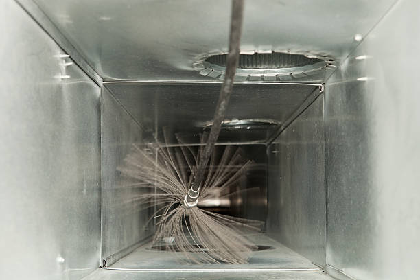 Best Affordable Air Duct Cleaning  in Colorado City, AZ