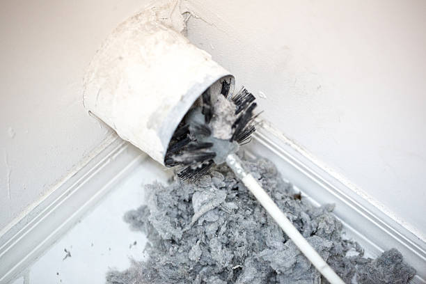 Ductwork Cleaning Services in Colorado City, AZ