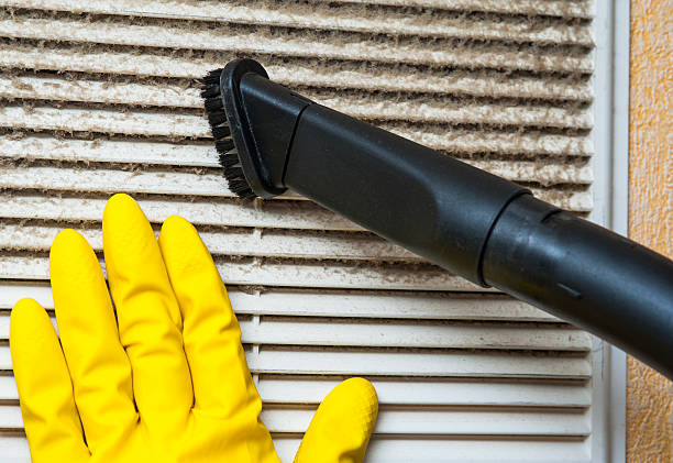 Best Air Duct Cleaning Near Me  in Colorado City, AZ